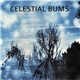 Celestial Bums - Celestial Bums